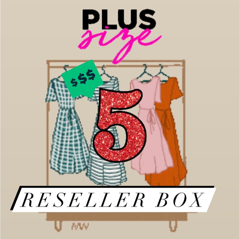 Plus size reseller box 4 items each
